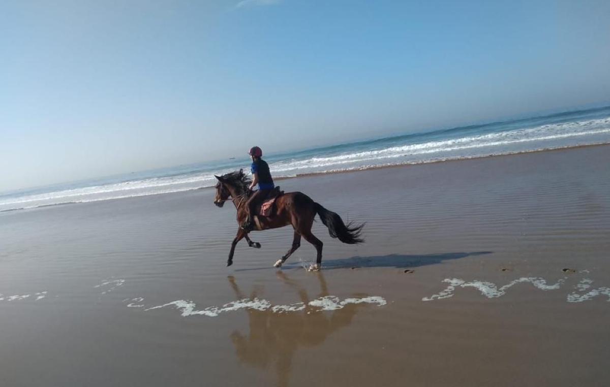 cheval taghazout activities (1)