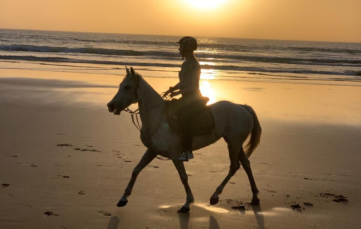 cheval taghazout activities (2)