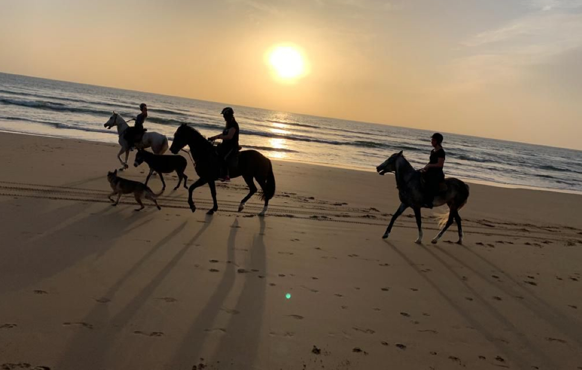 cheval taghazout activities (3)