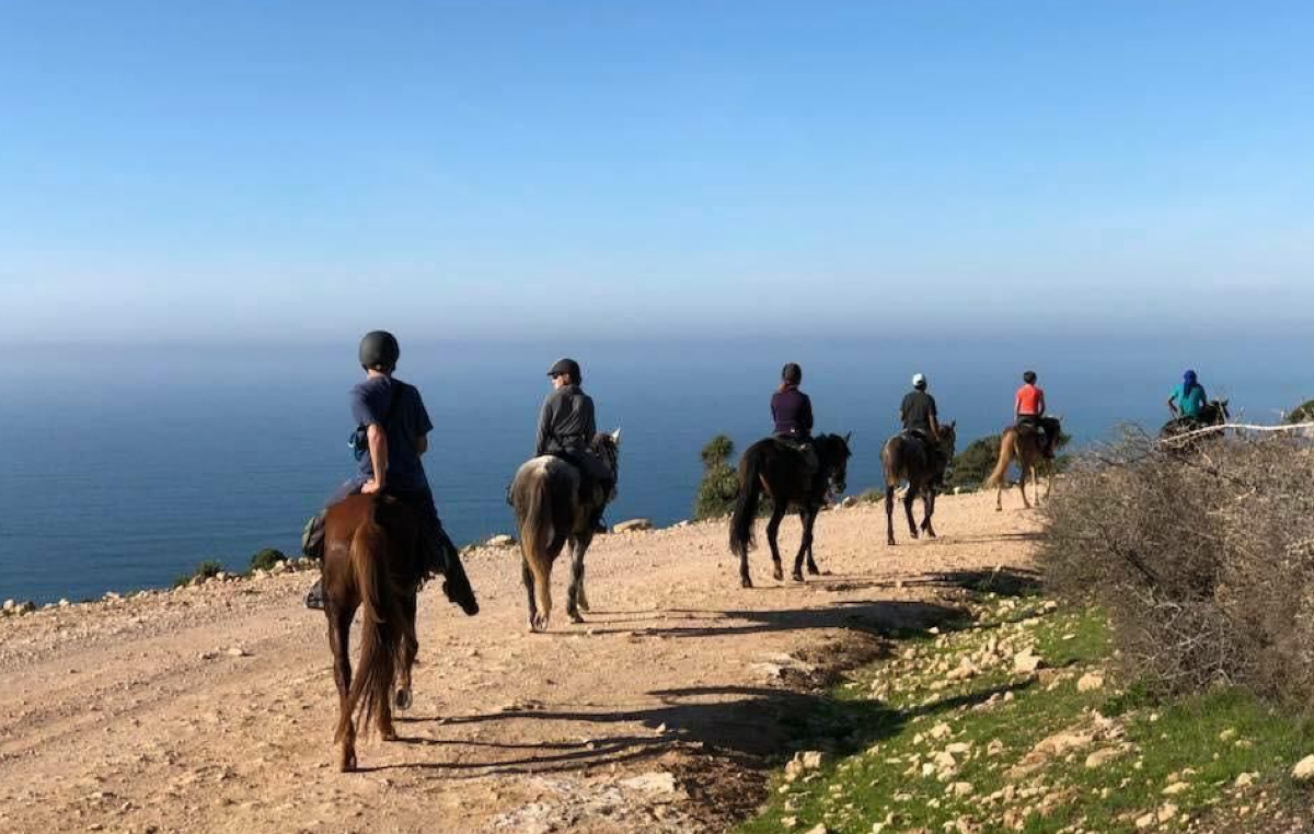 cheval taghazout activities (5)