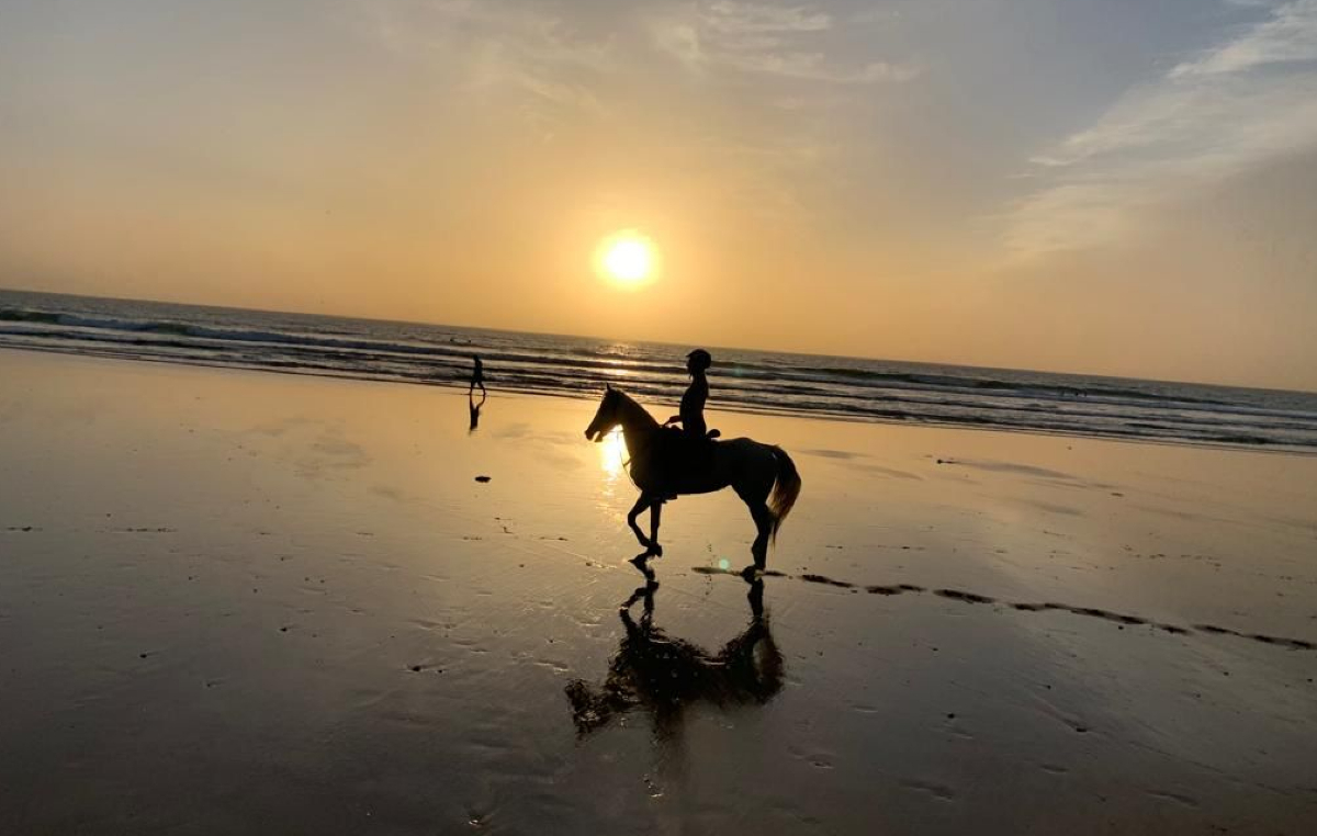 cheval taghazout activities (7)