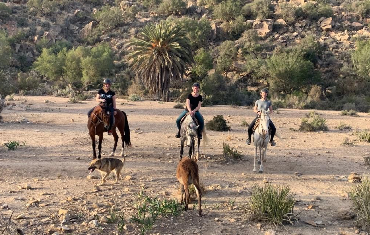 cheval taghazout activities (9)