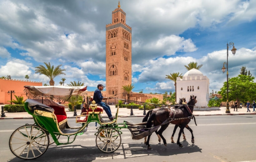 Agadir to Marrakech Day Trip