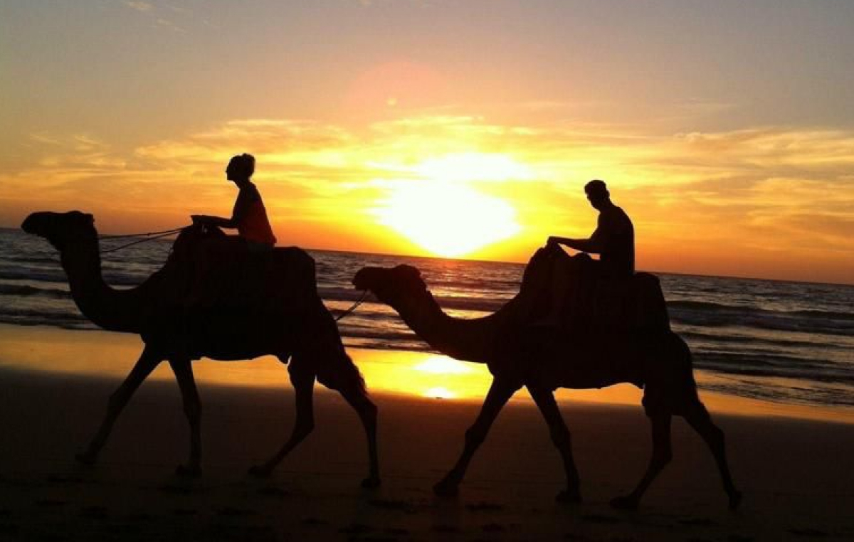 Taghazout Camel Ride