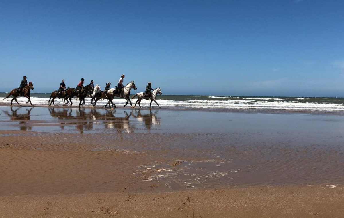 taghazout activities camel hose sable (4)