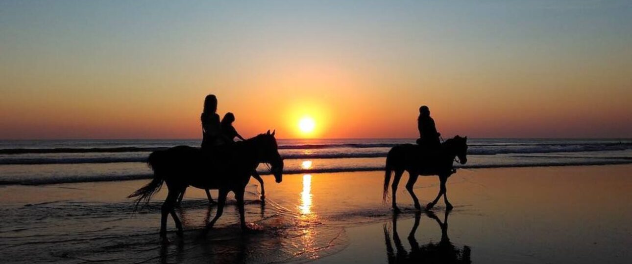 beach sunset horse ride adelaide