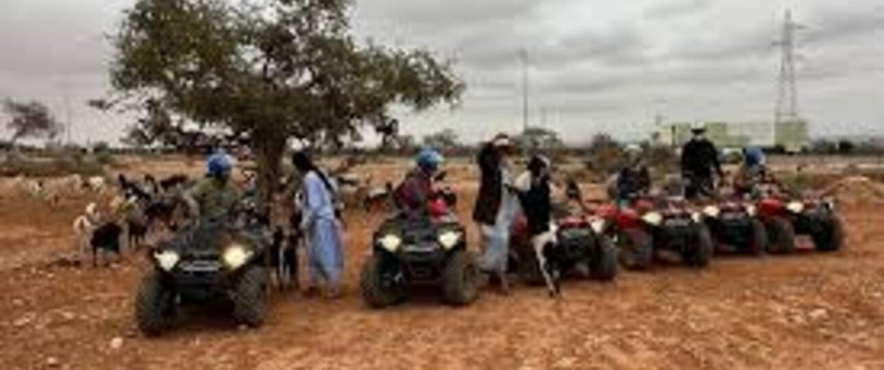 Desert Quad Biking Agafay Discover Goats On The Tree 3 images 2